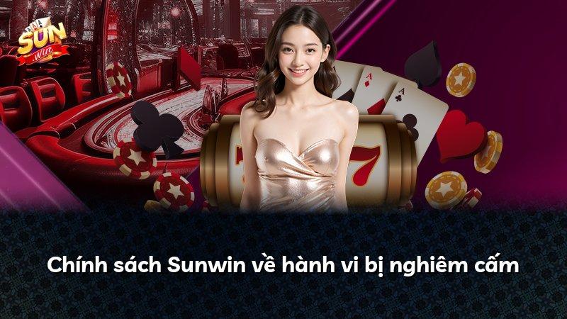 Chính sách Sunwin về hành vi bị nghiêm cấm